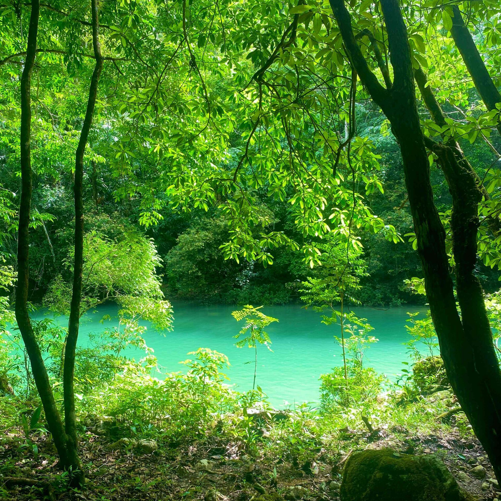 River side blue creek